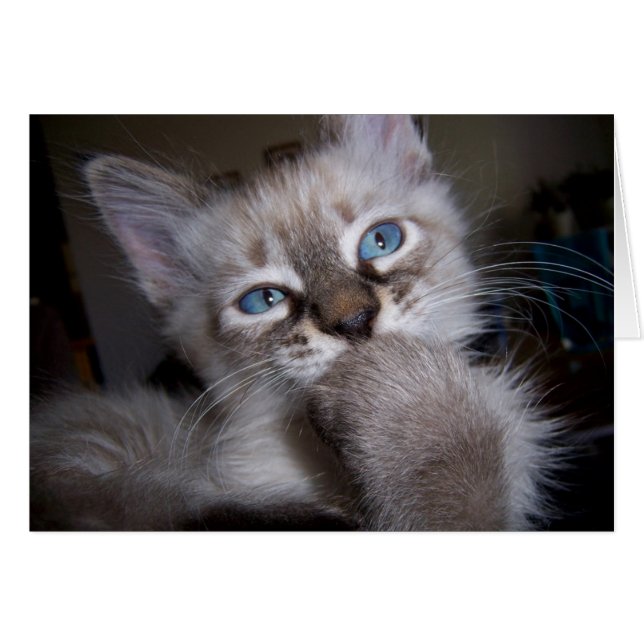 Introspective tänkare hälsningskort (Framsidan Horizontal)