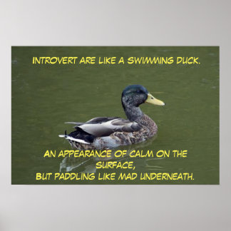 Introvert Anka Poster