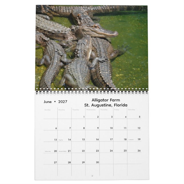 Intryck av Florida 2026 Kalender (Jun 2027)