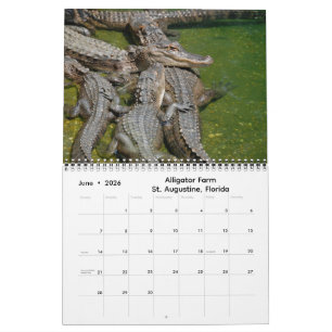 Intryck av Florida 2026 Kalender