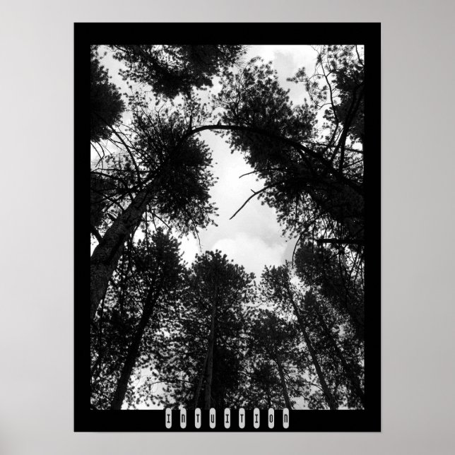 Intuition Poster (Framsidan)