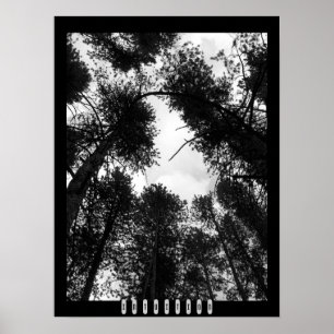 Intuitionaffisch Poster