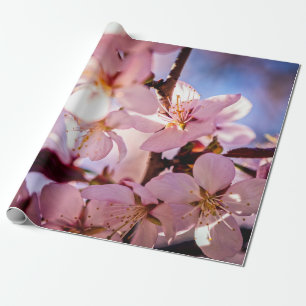 Inuti A Sakura Träd Presentpapper