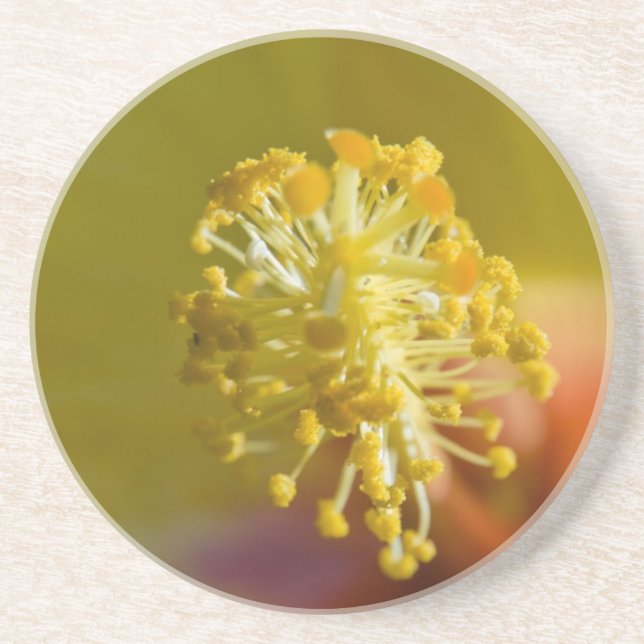 Inuti en Gult hawaiian Hibiscus Underlägg (Framsidan)