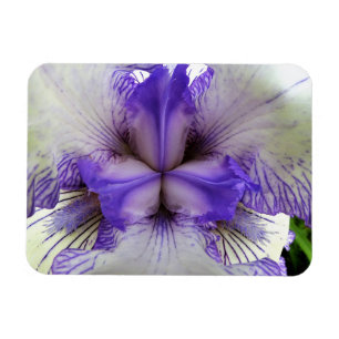 Inuti en iris magnet