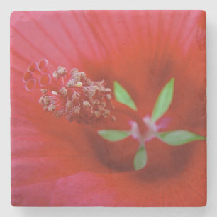 Inuti en röd Hibiscus - makrofotografi Underlägg Sten