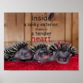 Inuti en spräcklig utsida finns ett ömt hjärta poster