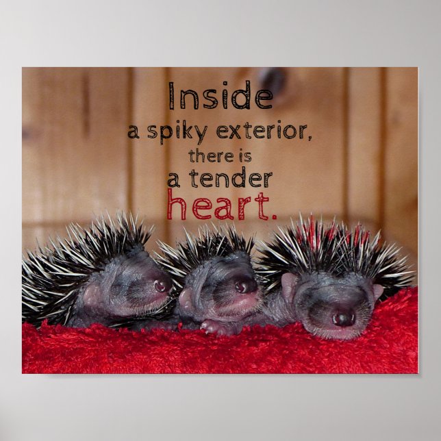 Inuti en spräcklig utsida finns ett ömt hjärta poster (Framsidan)