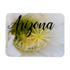 Inuti en vit kaktus i bloom, Arizona Magnet