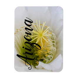 Inuti en vit kaktus i bloom, Arizona Magnet
