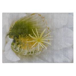 Inuti en vit katjon i blomning