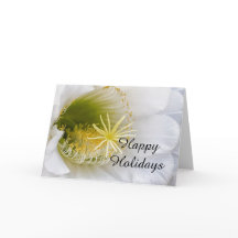 Inuti en vit katjon i blomning