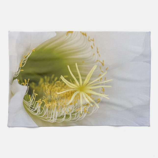 Inuti en vit katjon i blomning kökshandduk (Horisontell)