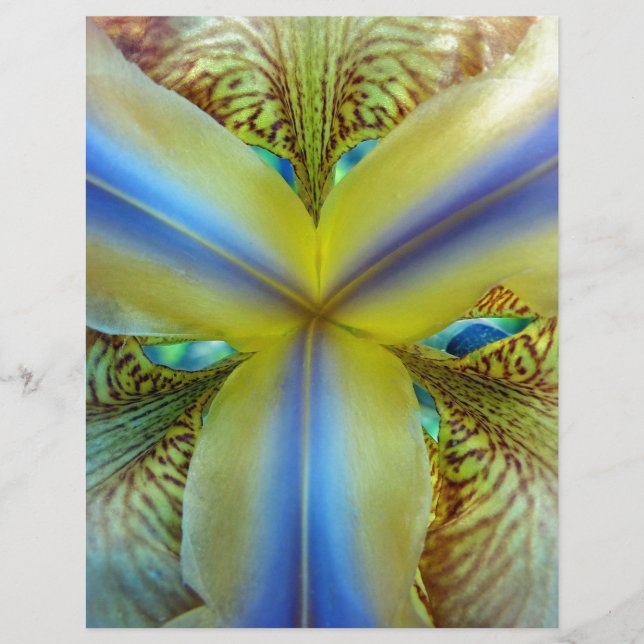 Inuti Iris (Framsida)