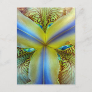 Inuti Iris Vykort
