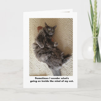 Inuti kattens sinne kort
