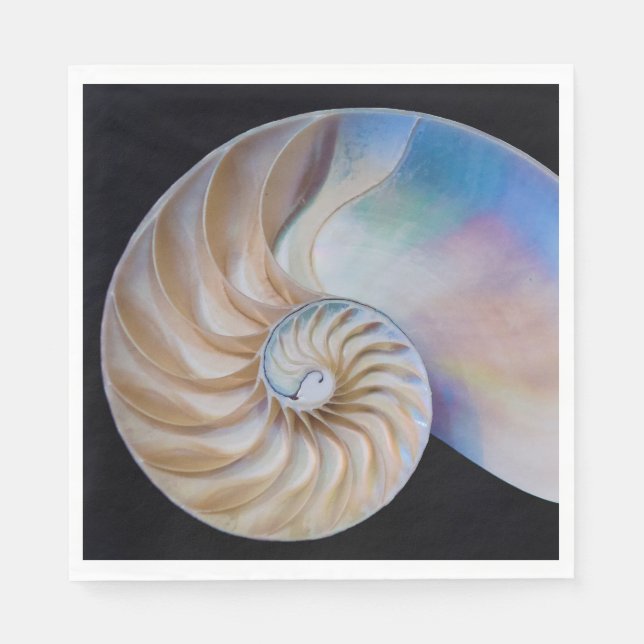 Inuti Nautilus Pappersservett (Framsidan)