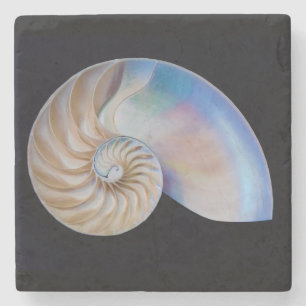 Inuti Nautilus Stenunderlägg