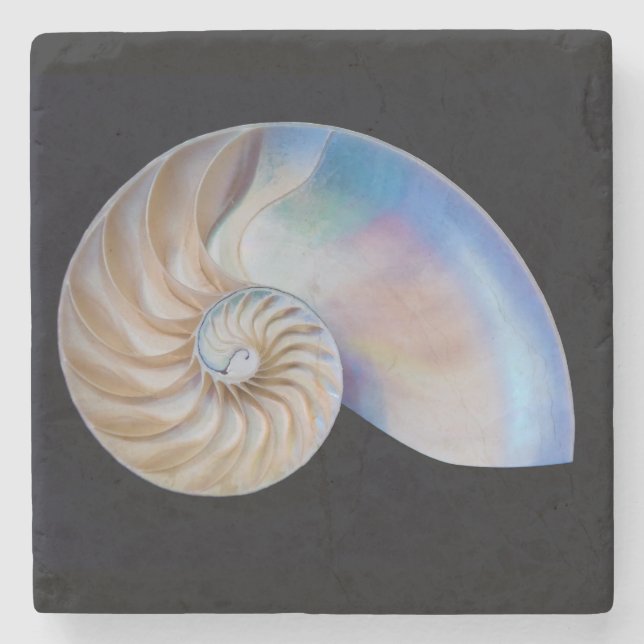 Inuti Nautilus Stenunderlägg (Framsidan)