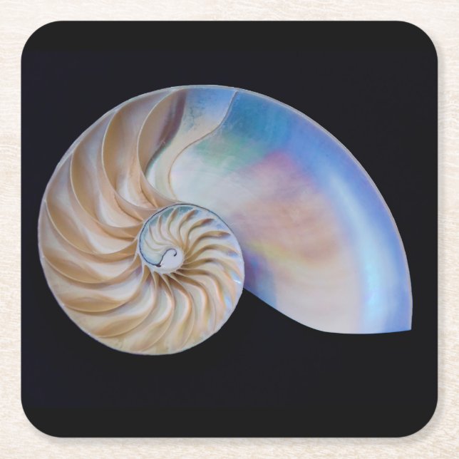 Inuti Nautilus Underlägg Papper Kvadrat (Framsidan)