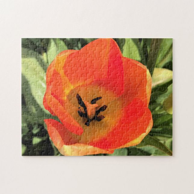 Inuti Orange Tulip Pussel (Horisontell)