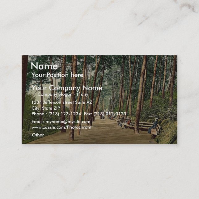 Invalids går, det Bournemouth, England Visitkort (Framsida)