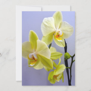 Invändigt visitkort för gult, orchid-kort för valf inbjudningar