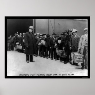 Invandrare som går till den Ellis ön 1911 Poster