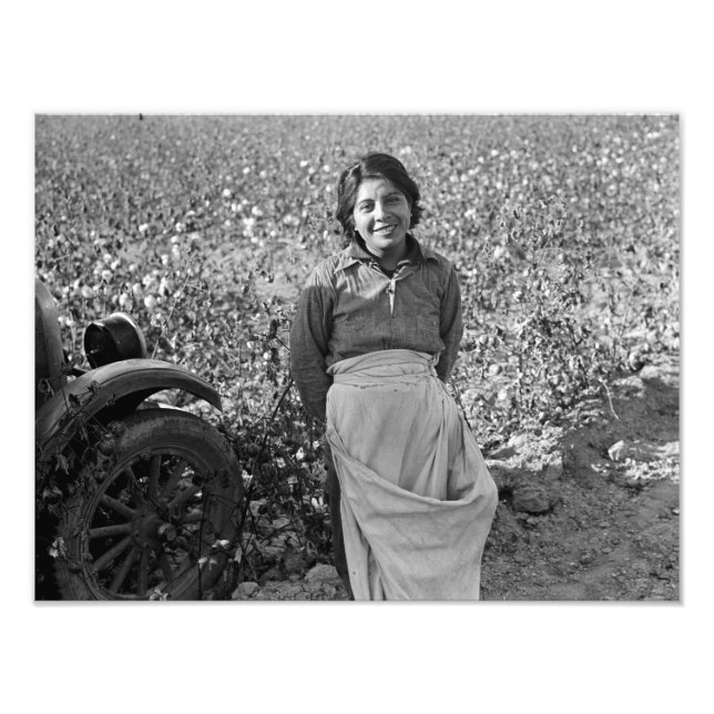 Invandrare Worker i Cotton Fält av Dorothea Lange Fototryck (Framsidan)
