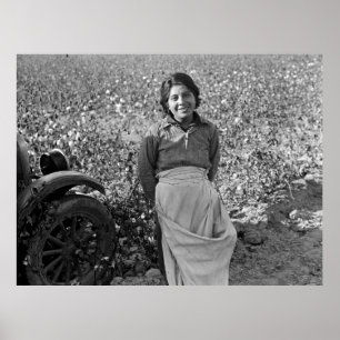 Invandrare Worker i Cotton Fält av Dorothea Lange Poster