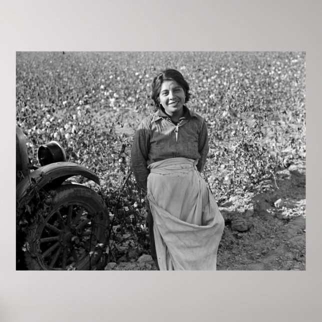 Invandrare Worker i Cotton Fält av Dorothea Lange Poster (Framsidan)