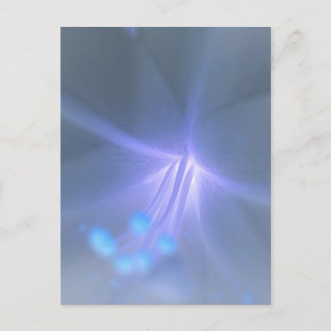 Invertera Lily-vykort Vykort (Framsida)