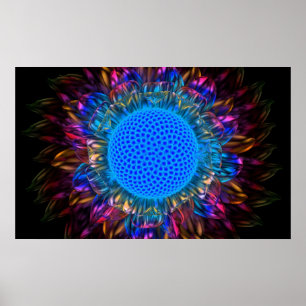 (Inverterad) Sunburstdaisy, Poster