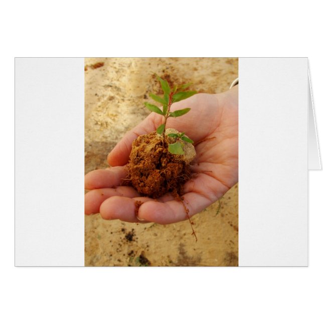 Investera för tillväxt hälsningskort (Framsidan Horizontal)