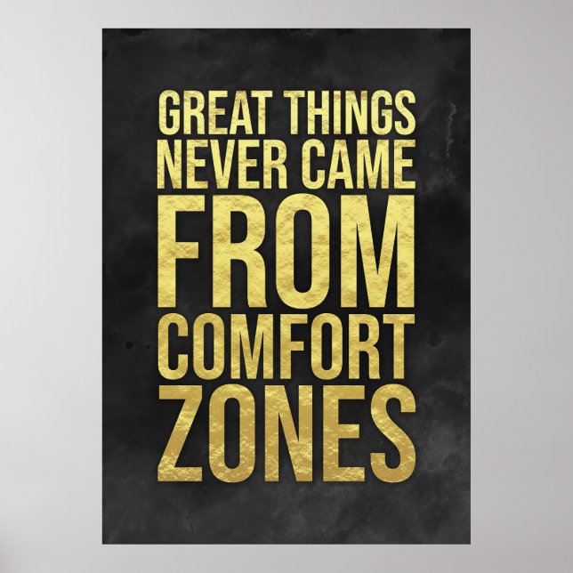 Investor Comfort Zones Poster (Framsidan)