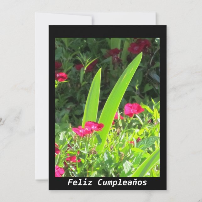 Invitación - Feliz Cumpleaños - Rosa Flowers Inbjudningar (Framsida)