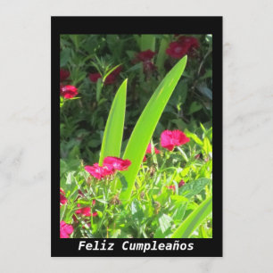 Invitación - Feliz Cumpleaños - Rosa Flowers Inbjudningar