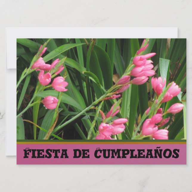 Invitación - Fiesta de Cumpleaños Inbjudningar (Framsida)