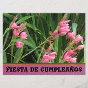 Invitación - Fiesta de Cumpleaños Inbjudningar