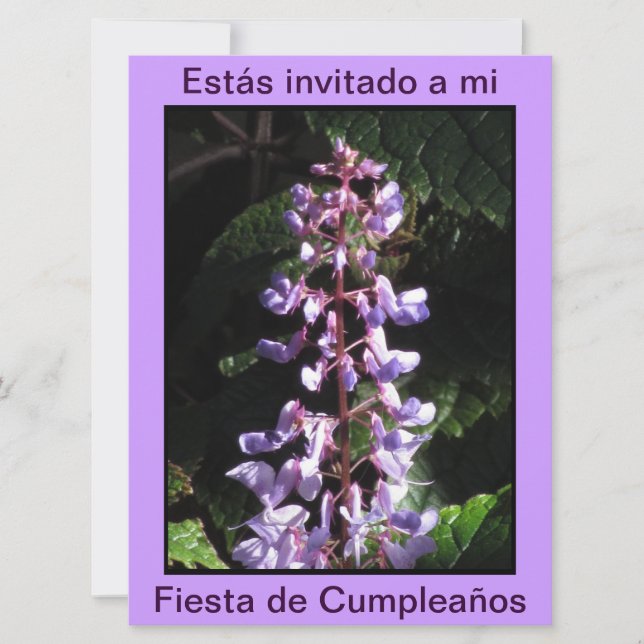 Invitación - Fiesta de Cumpleaños - Púrpura Inbjudningar (Framsida)