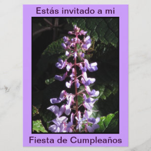 Invitación - Fiesta de Cumpleaños - Púrpura Inbjudningar