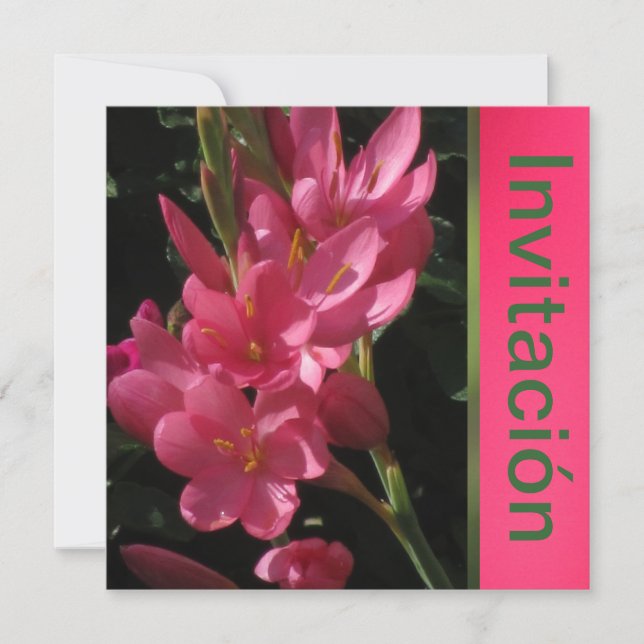 Invitación - Fiesta de Cumpleaños - Rosa Inbjudningar (Framsida)