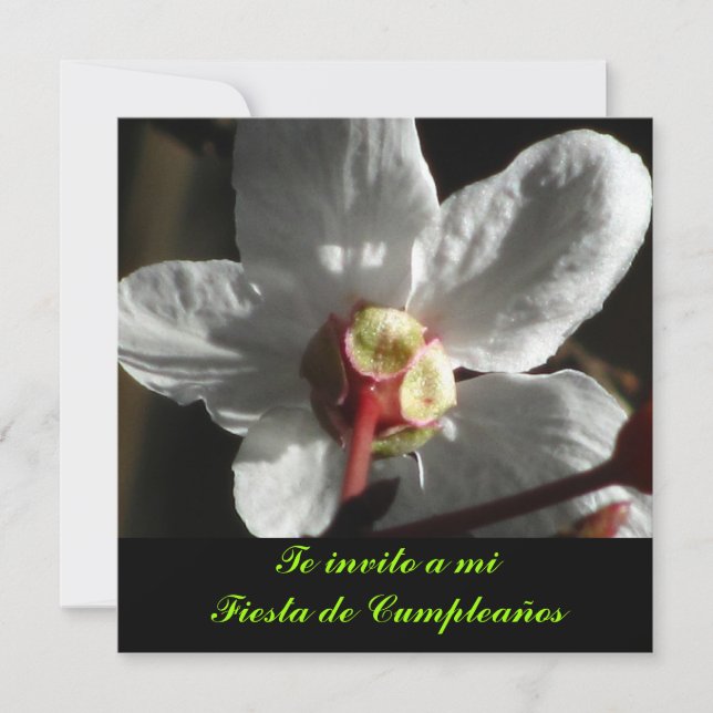 Invitación - Te invito a mi Fiesta de Cumpleaños Inbjudningar (Framsida)