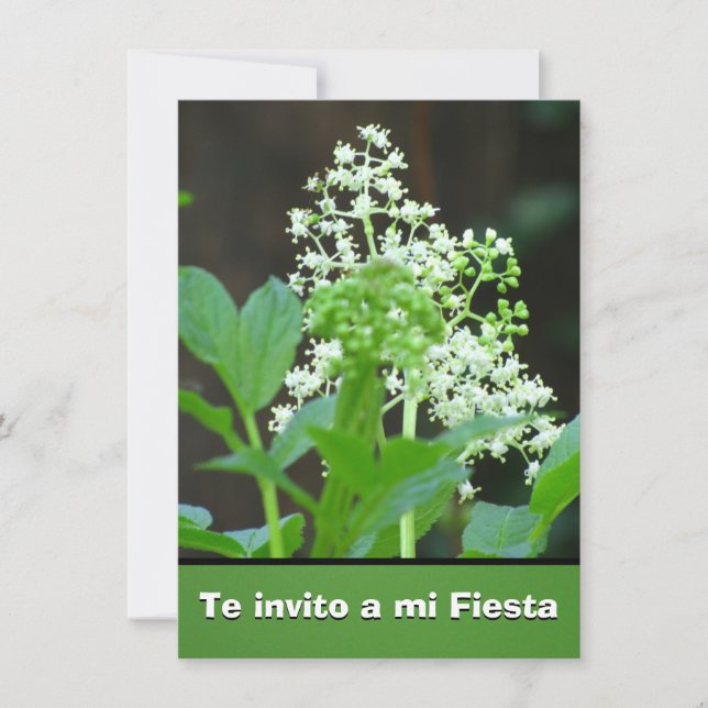 Invitación - Te invito en mi-Fiesta - Flores Inbjudningar (Framsida)