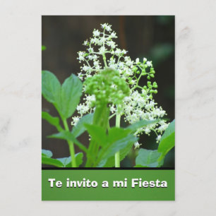 Invitación - Te invito en mi-Fiesta - Flores Inbjudningar