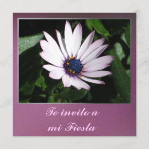 Invitación - Te invito en mi-Fiesta - margarita Inbjudningar