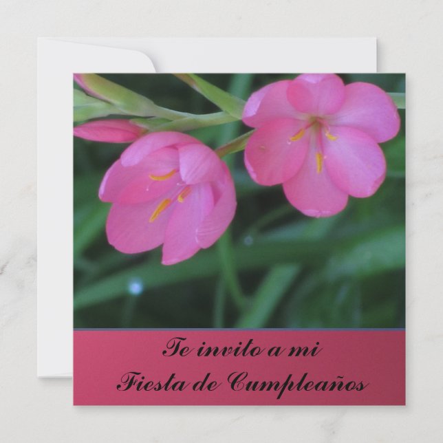 Invitación - Te invito per mi Fiesta de Cumpleaños Inbjudningar (Framsida)