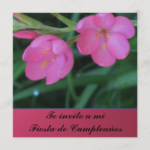 Invitación - Te invito per mi Fiesta de Cumpleaños Inbjudningar