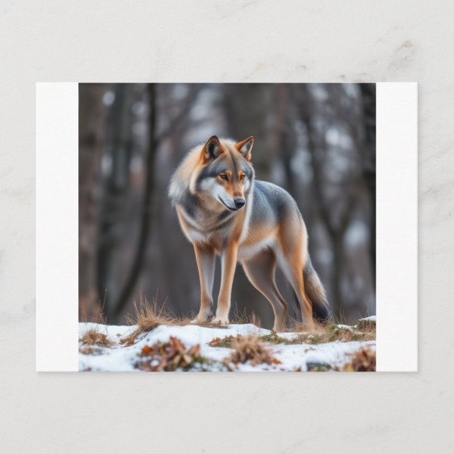 Invitation and announcement  meddelande vykort (Framsida)