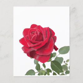 Invitation Rose rouge - symbole d’amour